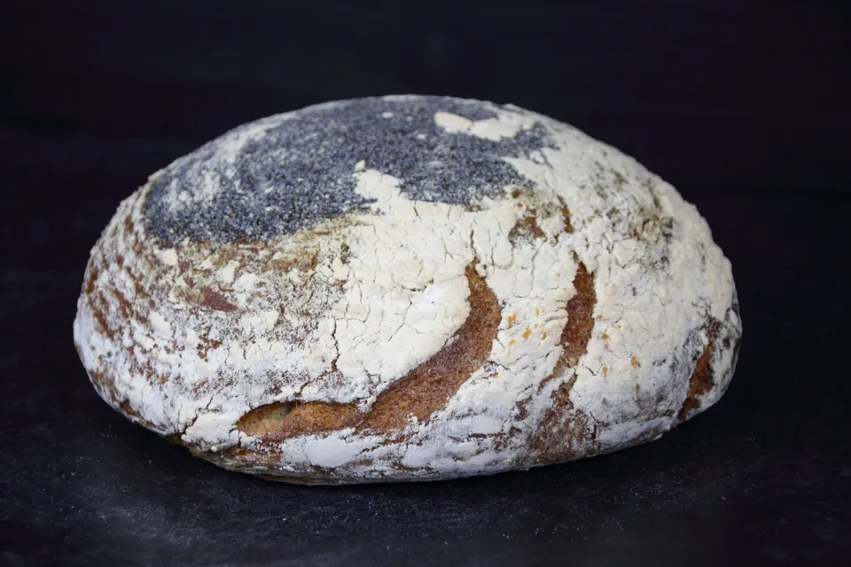 Aries Pasteria Pane Back Ferment Segale e Spezie 850 g Bio