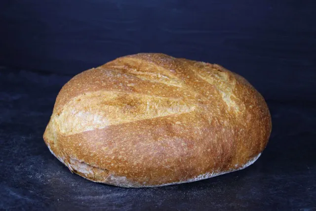 Aries Pasteria Pane Pugliese di Grano Duro 1 Kg Bio