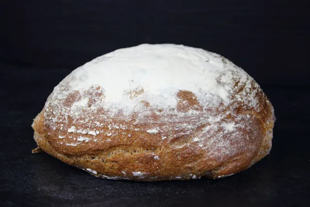 Aries Pasteria Back Ferment pane integrale 1 Kg bio