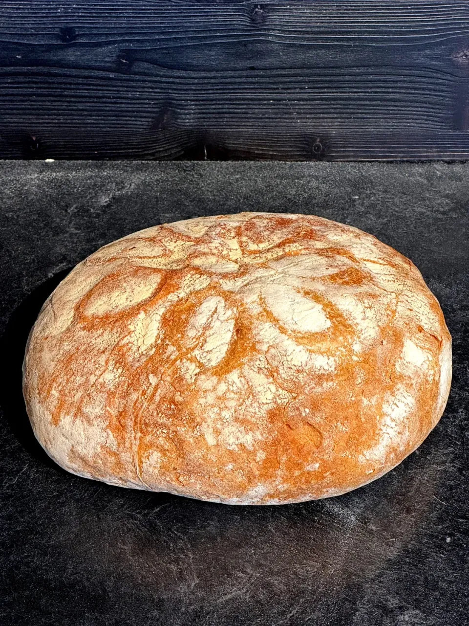 Aries Pasteria Pane Senza Sale 1 Kg Bio